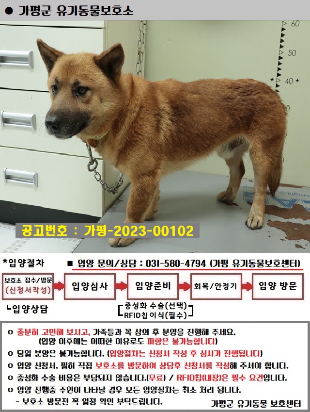 가평군유기동물보호소_441416202300446